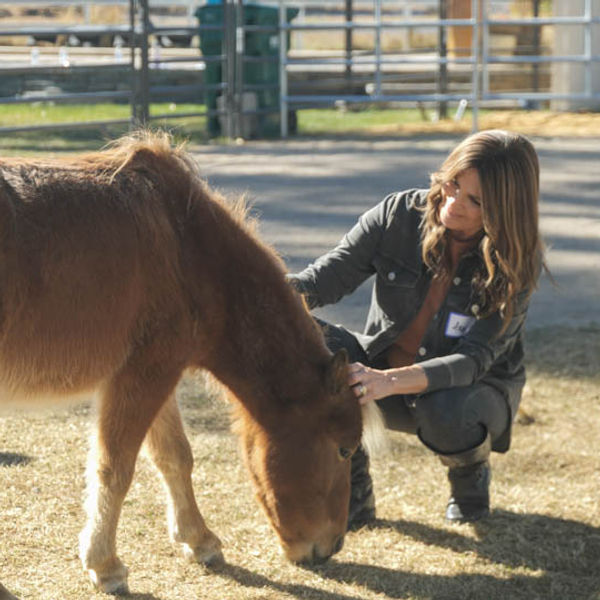 Redeemer Ranch