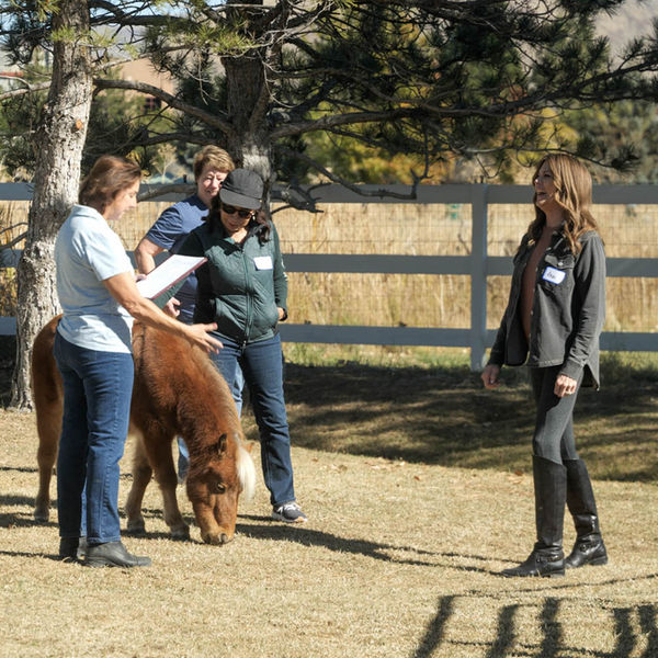 Redeemer Ranch
